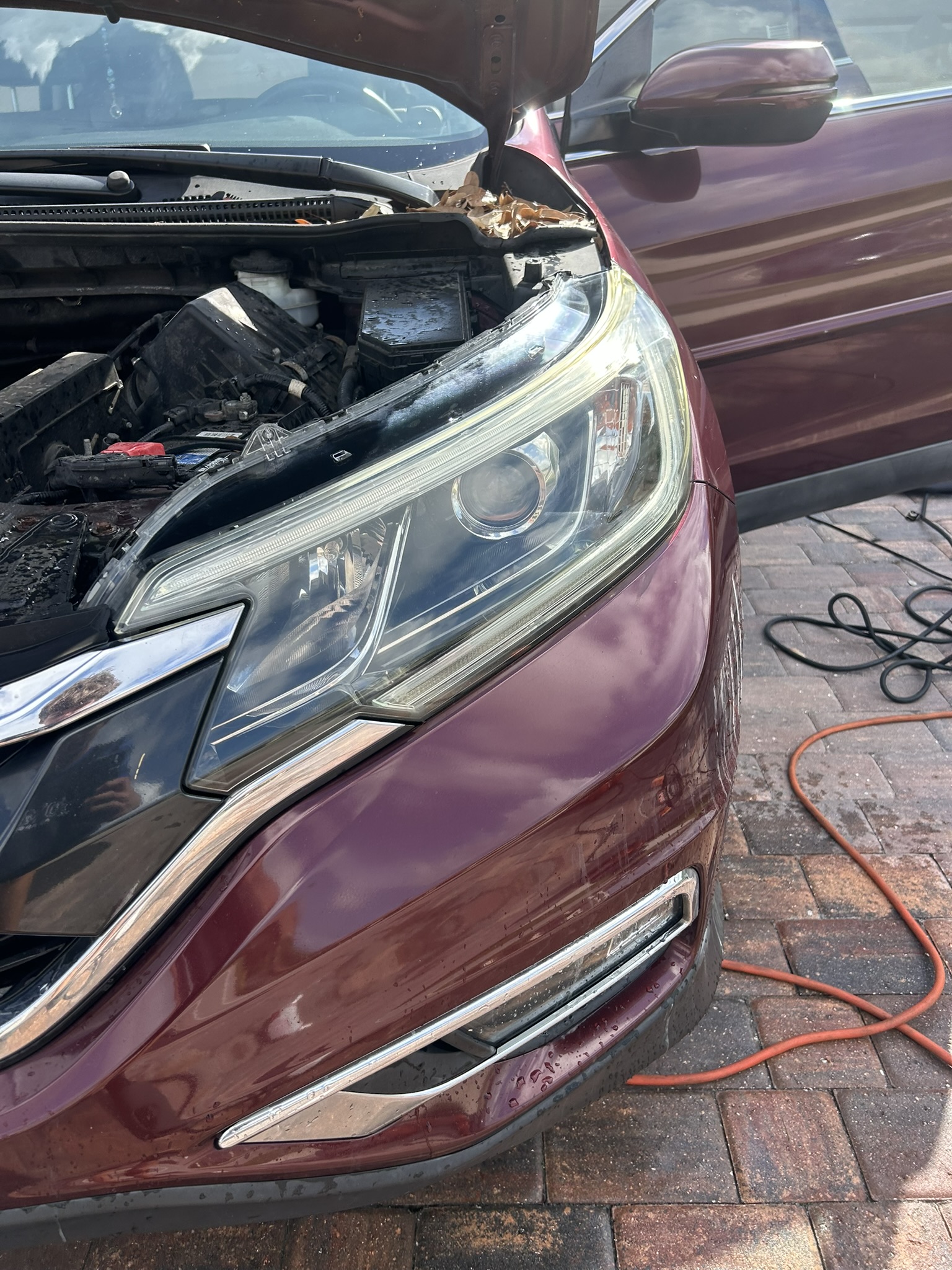 Honda headlight after mobile headlight restoration by MMA Detailing